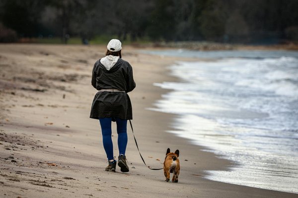 Les secrets pour bien s'occuper de votre chien